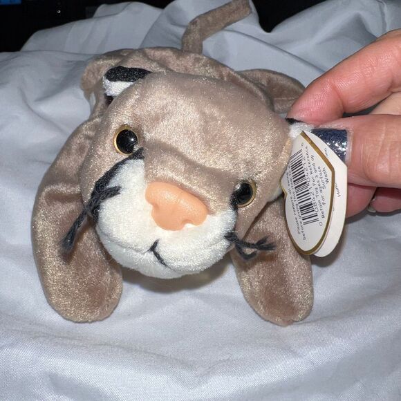 TY Original Beanie Baby "Canyon” - Picture 9 of 10